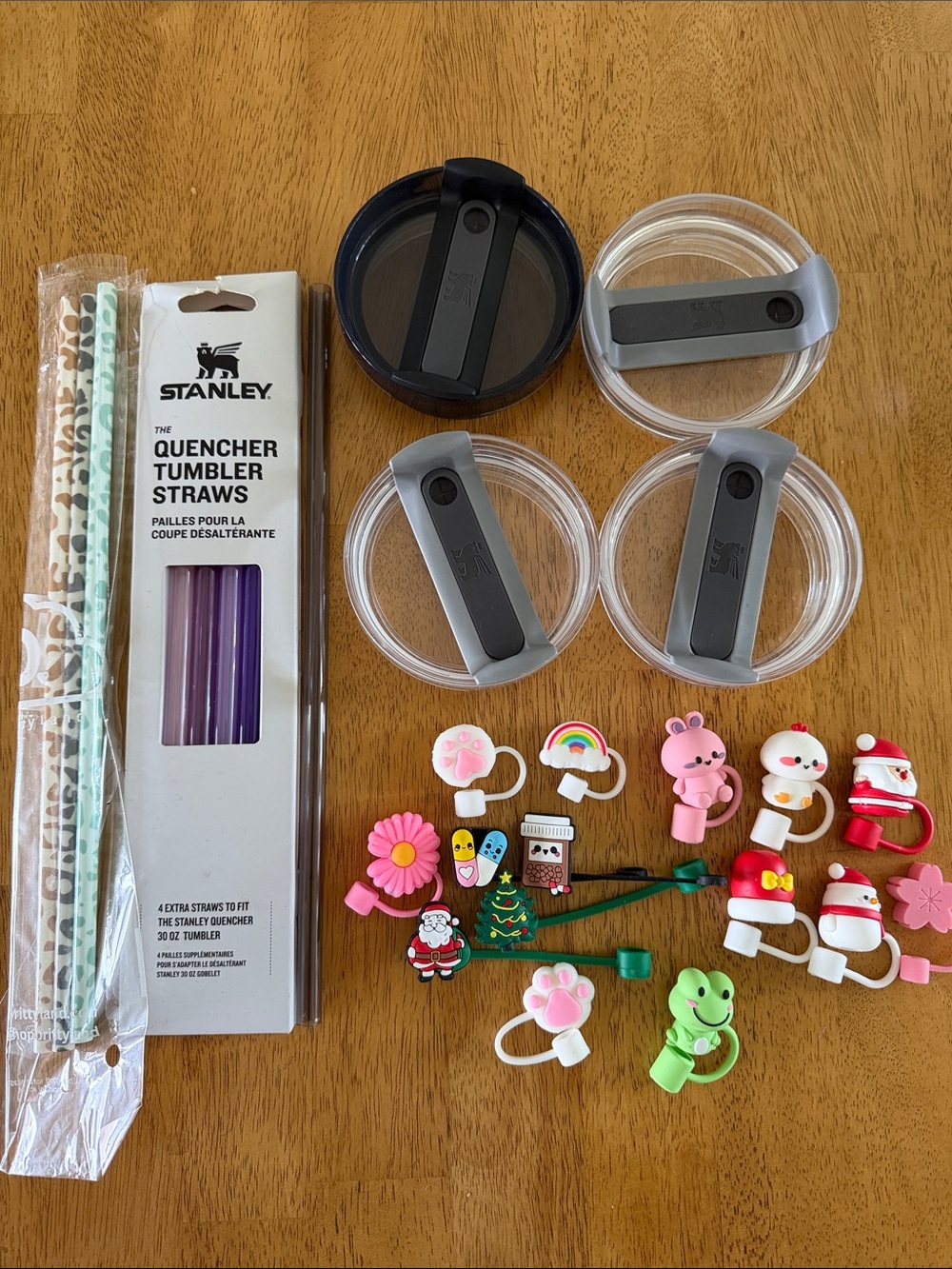 Stanley H20 40 oz Accessories Bundle